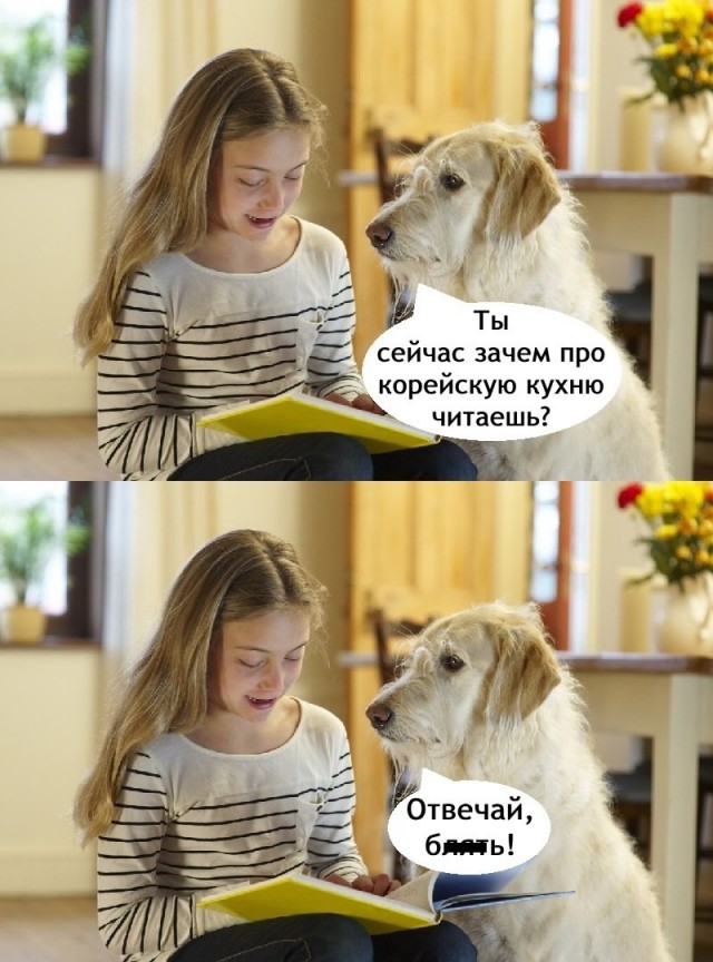 80 баянов из вацапов