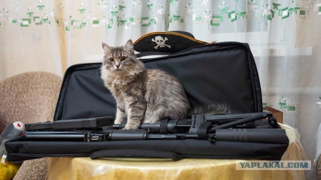 Раб дважды