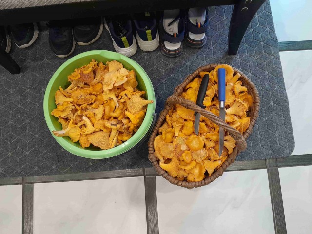 С почином, грибоманьяки!