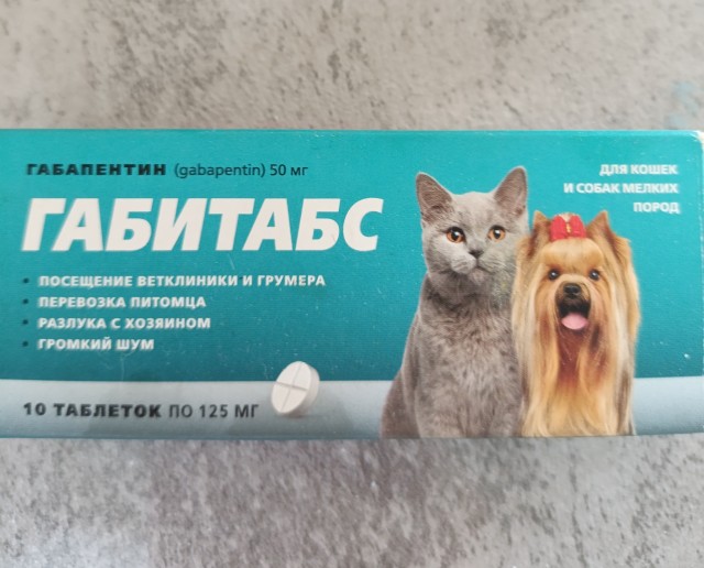 Нужна помощь кошатников Япа!