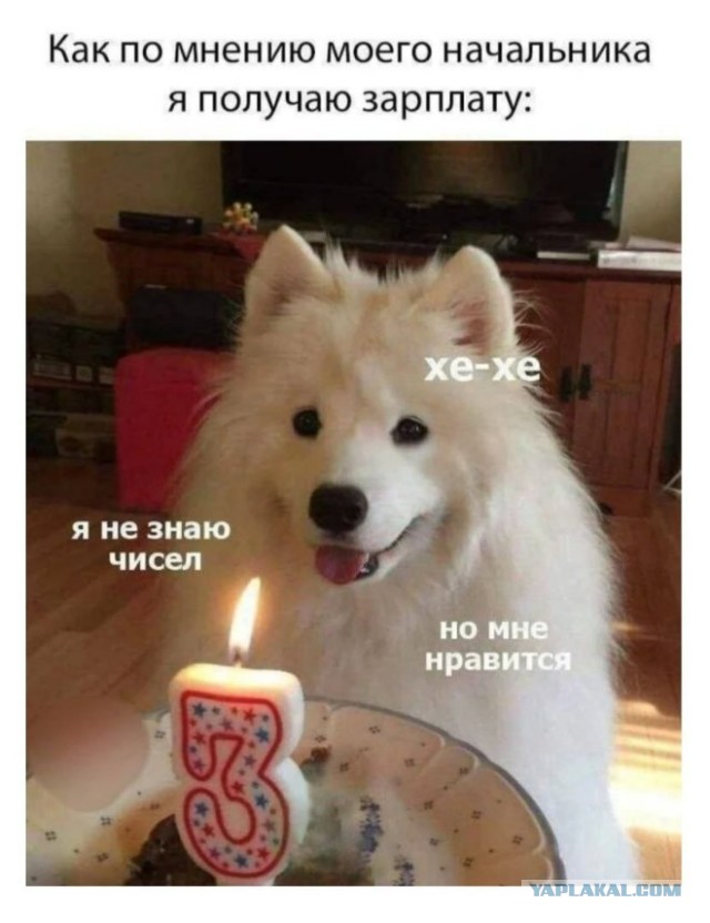Забавные и не очень скромные картинки - 17