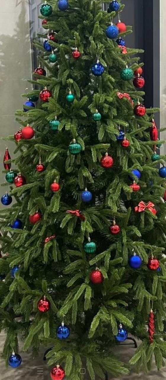 В Москве Акбарали решил запретить отмечать Новый год