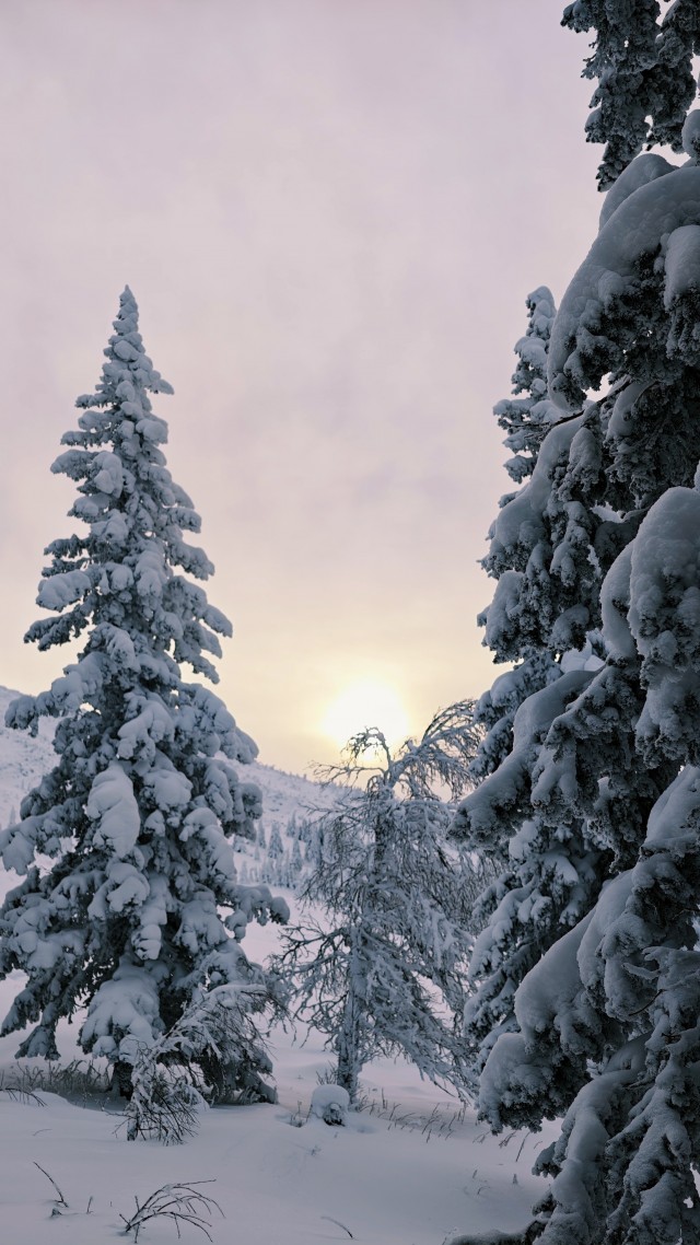 Зимняя дорога