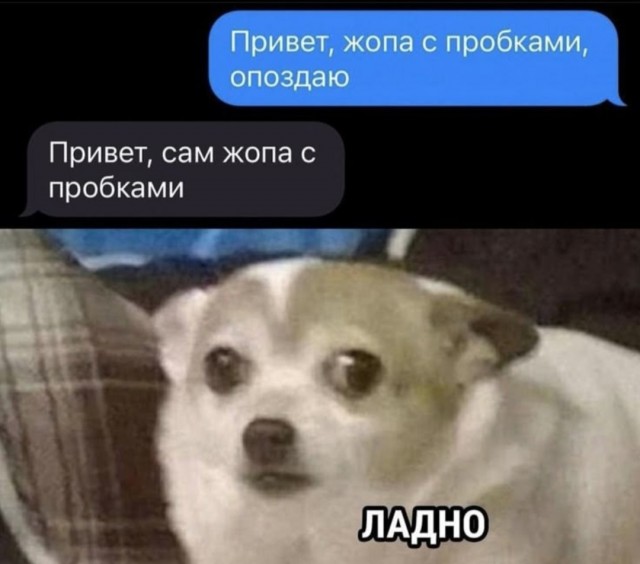 Среды картинки