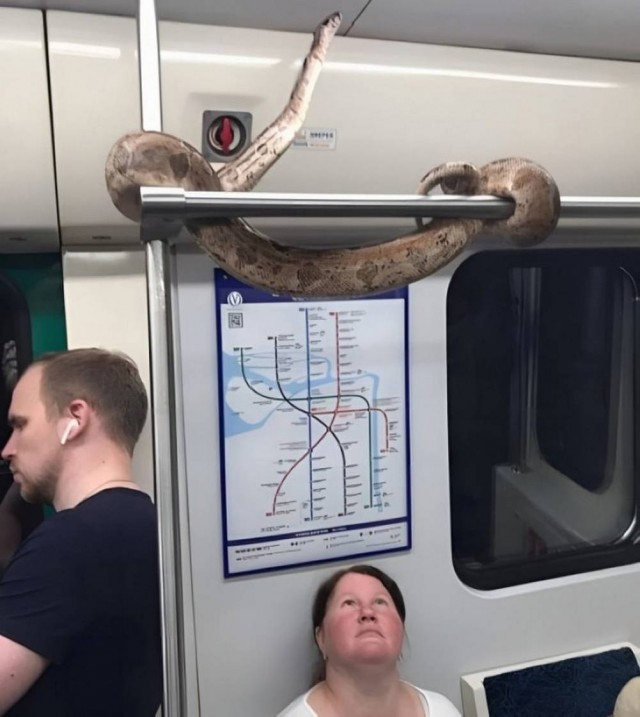 Разные картинки
