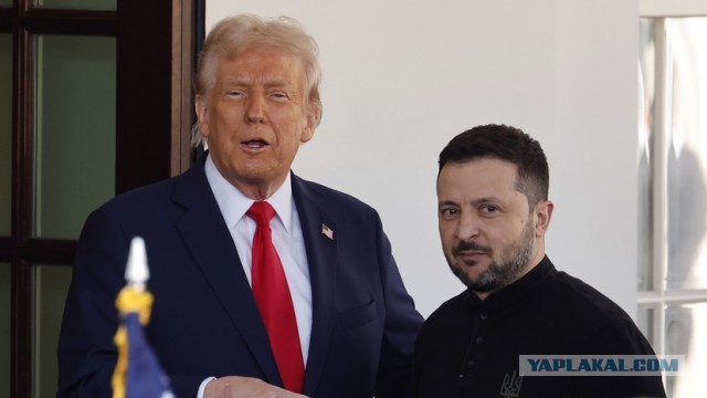 Reuters: США предложили Украине провести референдум о мире и выборы в мае