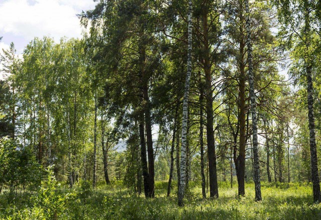 Деревенская Америка - 10