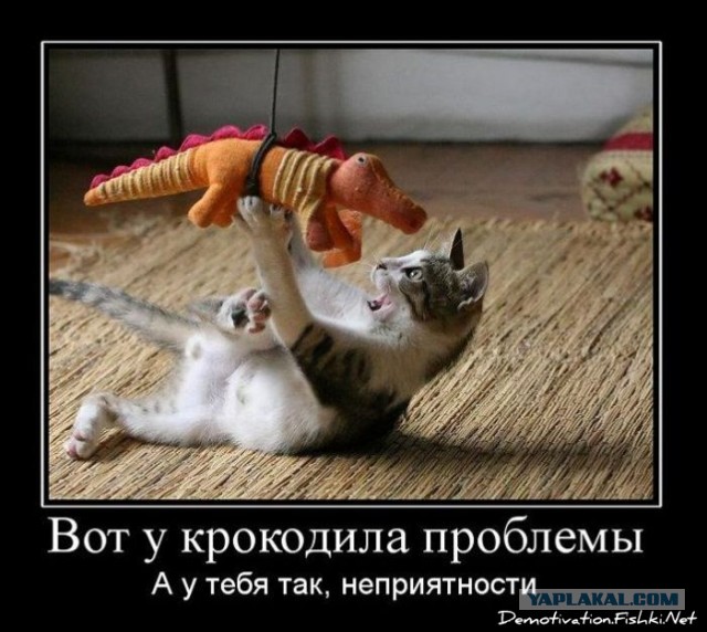 Все для детей.