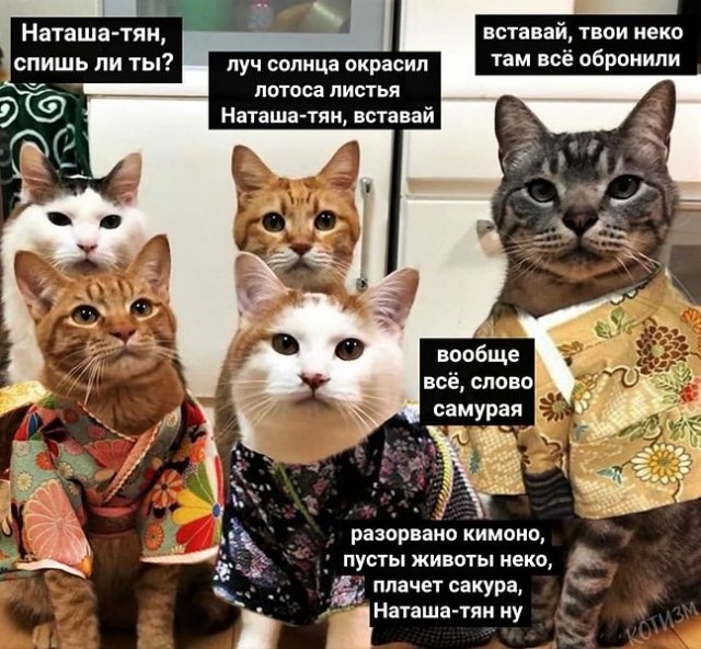 Найди себе уже мужика, Наташа!