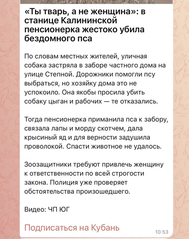 Почему собачники злее собак?