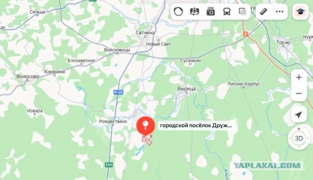 Волки напали на домашних животных в поселке Дружная Горка возле леса
