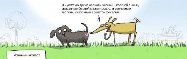 Старьё, честно
