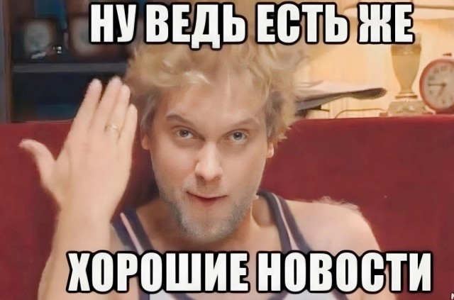 Питбайкер погиб из-за упавшего сухого дерева в лесу под Чеховом