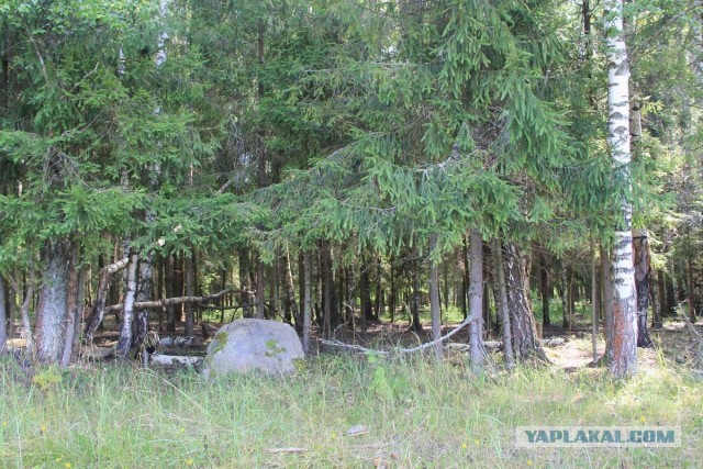 Фотоотчёт. Ивановская область.