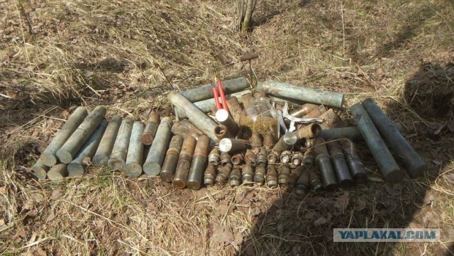 Военные трофеи, которые можно найти на раскопках