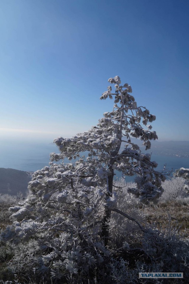 Осень. Море. Новороссийск.