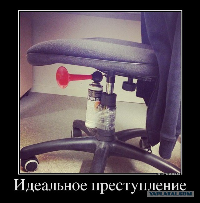 Весёлое из сети