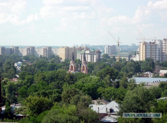 Тамбовский волк тебе товарищ...