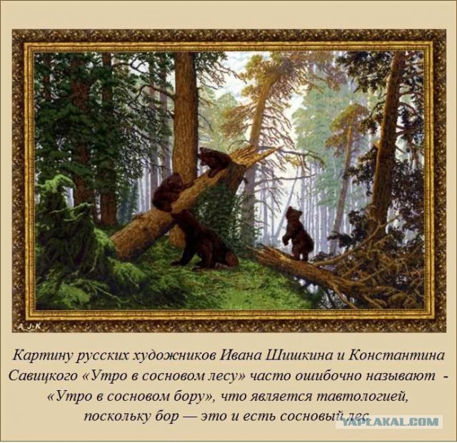 20 фактов обо всем