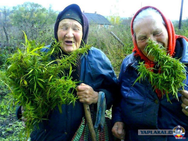 Алко-Нарко-Психо-Фармо и т.п. поборка