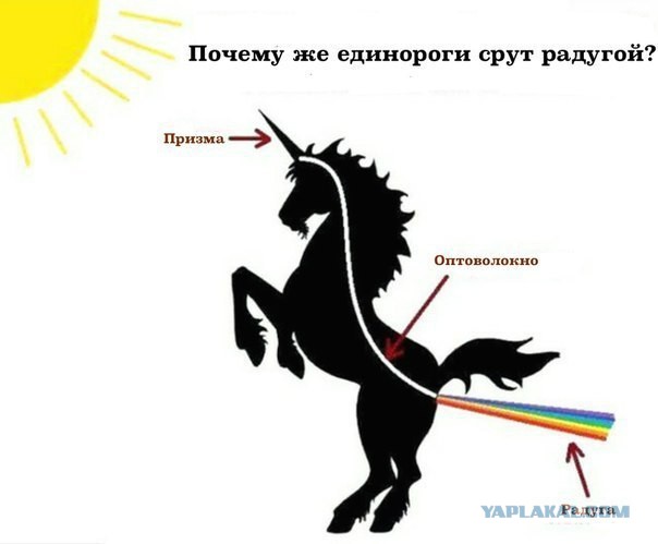 Загадка разрешилась!