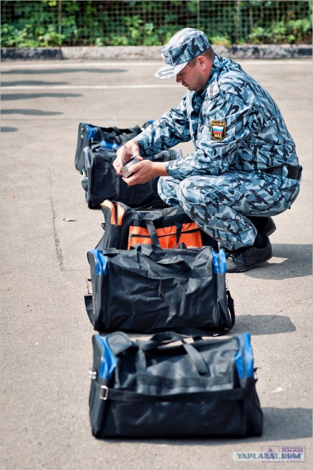 Центр кинологической службы Упр-ния на транспорте