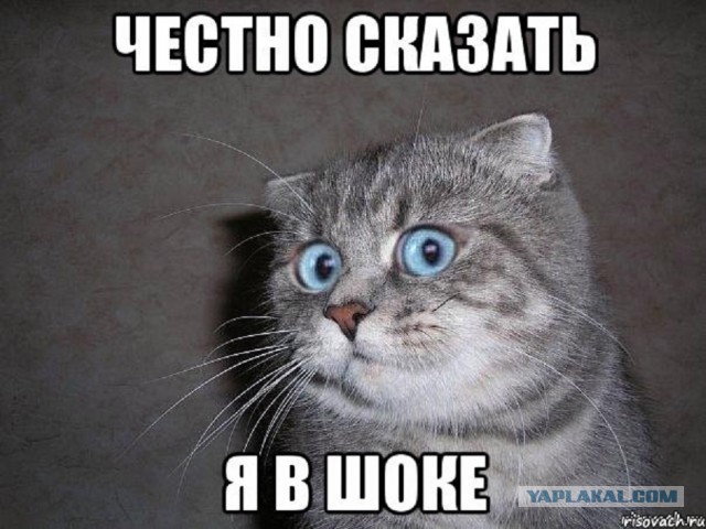 СтопХам - Полицейская дисфункция