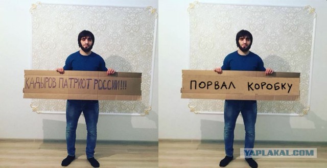 порванная коробка