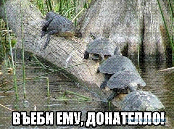 Подборка картинок ни о чём