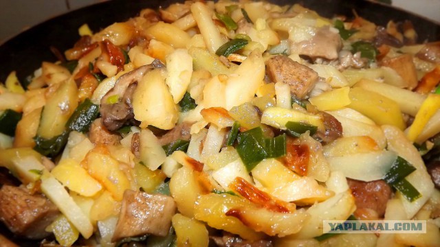 Куриное филе под лисичковым одеялом.