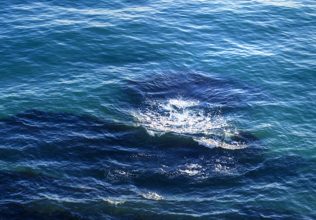 Вечерний Геленджик