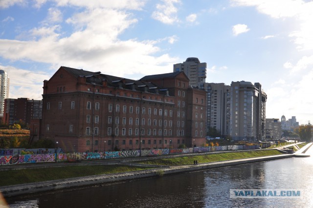 50 на 50: даже не верится, что это части одной фотографии