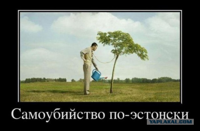 Эх, опять не успел!