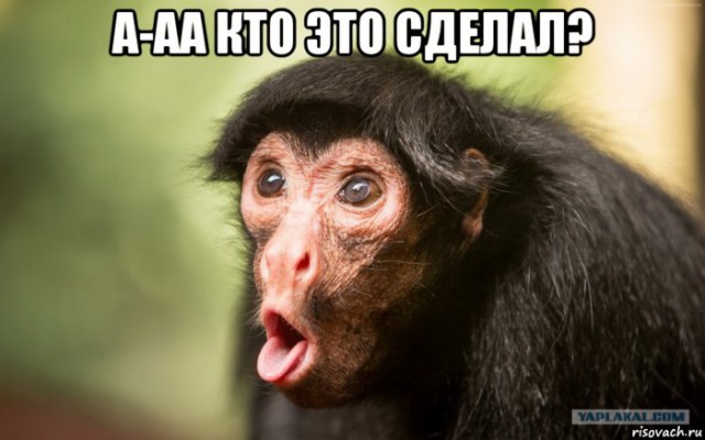 Пенсионерка держит в страхе целый дом