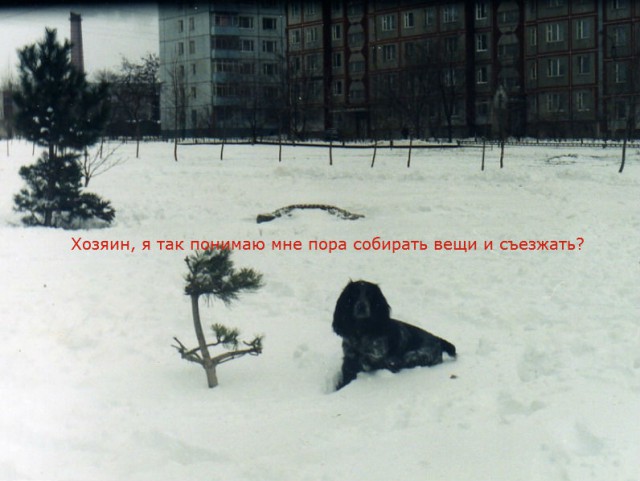 Королевский выстрел на охоте на утку