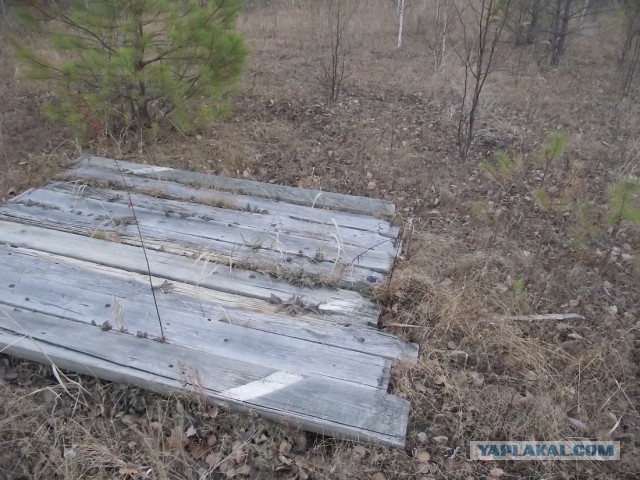 Дальневосточный гектар.  3-я  попытка.