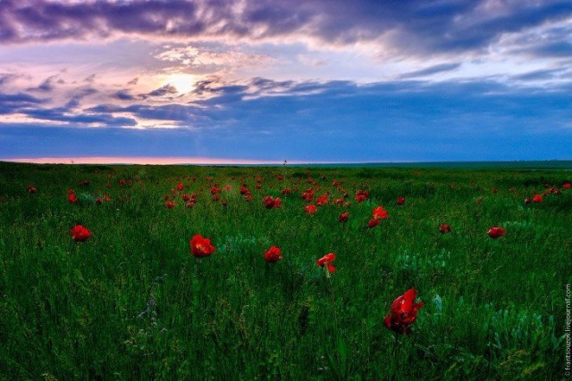 Фотографии из самых разных уголков планеты которые захватывают дух.