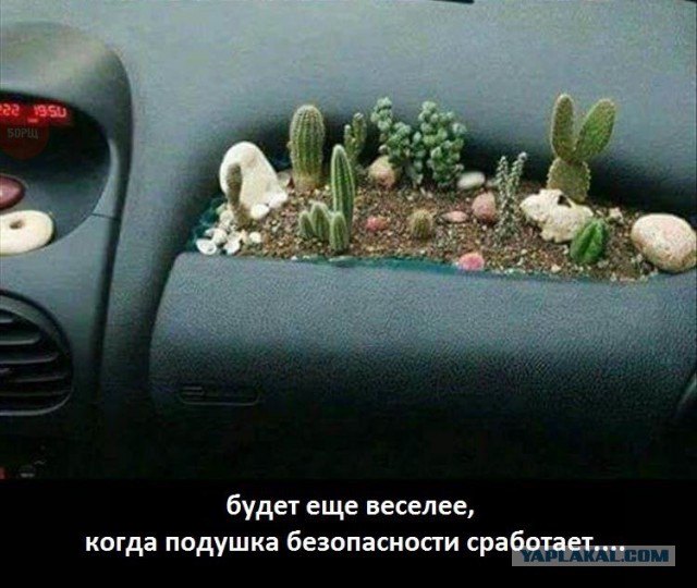 Подборка интересных и веселых картинок