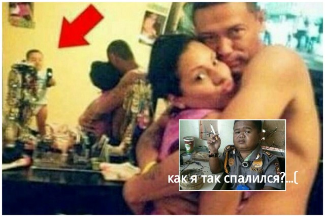 Деградации ЯПу