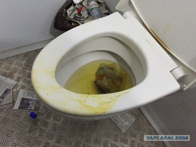 Золотой позор Москвы или "золотые туалеты"