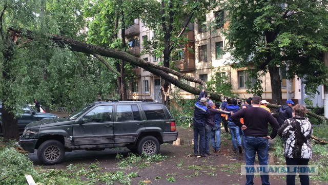В Москве ураган!