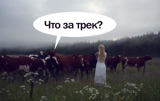 Красивый голос