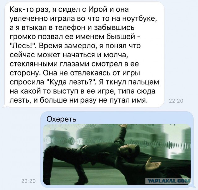 49 забавных картинок