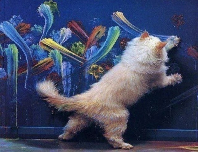 Коты и Кошки