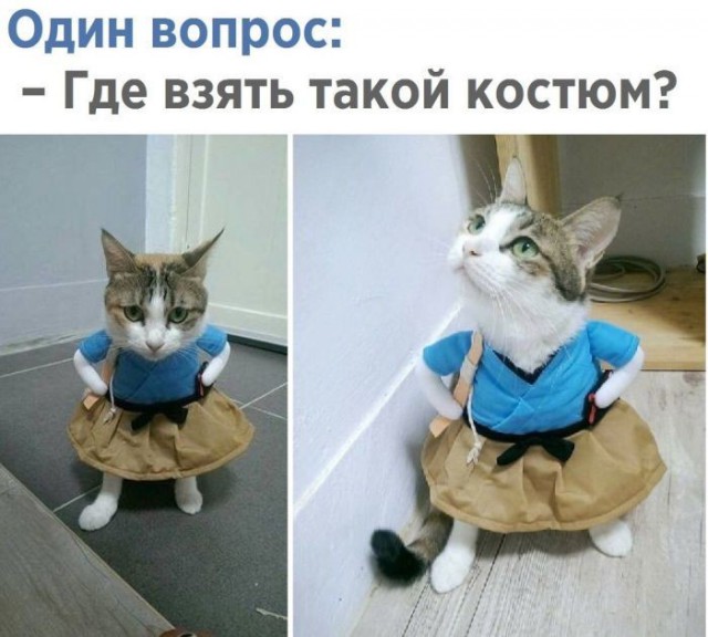 Нестандартный юмор