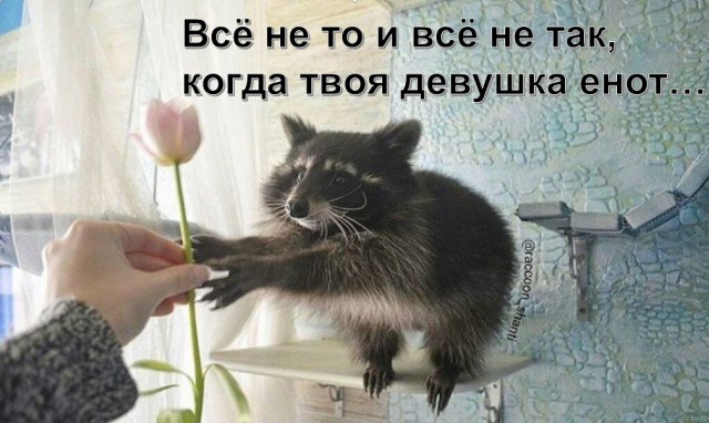 Порция картинок на субботу