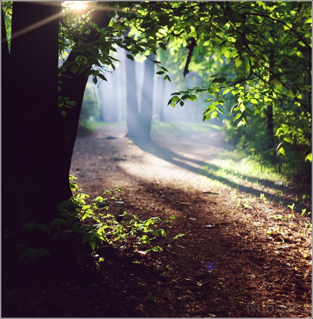 Просто Природа