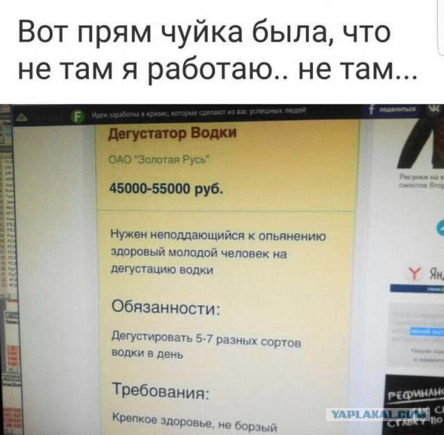Трезвый расчёт: за пять лет число страдающих алкоголизмом в России снизилось на 22%