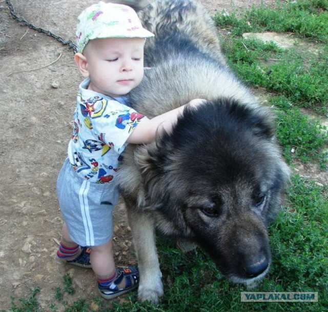 Немного милых жипегов