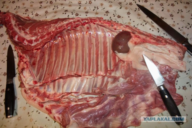 Сон в новогоднюю ночь